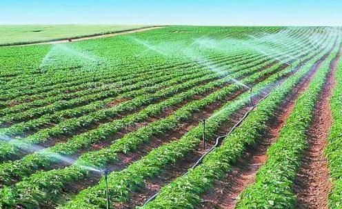 日韩两性插入视频农田高 效节水灌溉